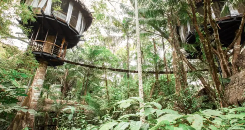 Treehouse Lodge Peru casa grande