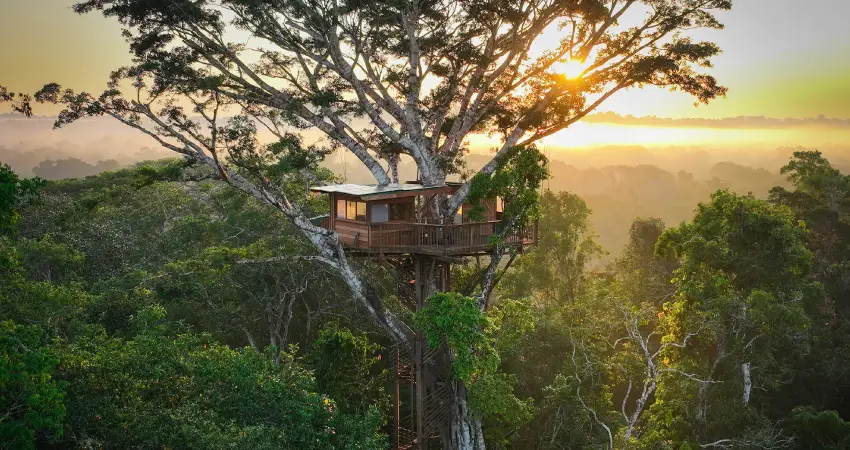 Treehouse Lodge Peru