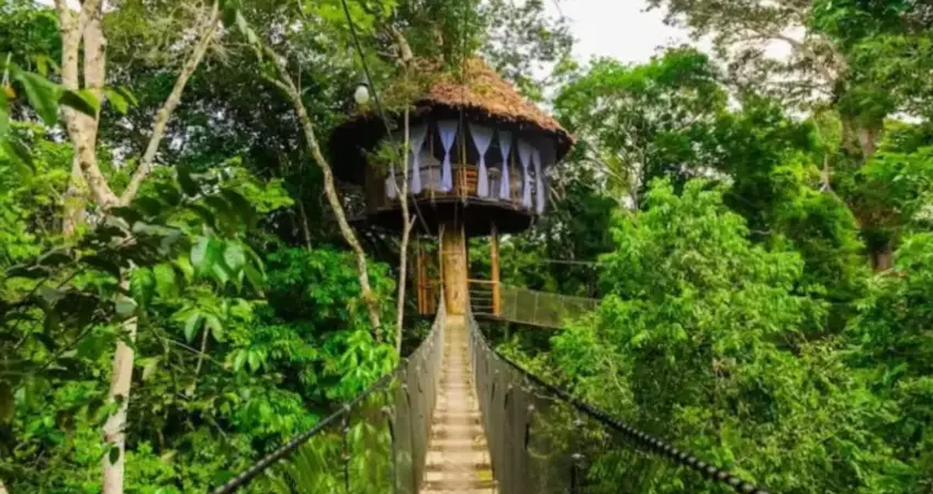 Treehouse Lodge Peru serena room