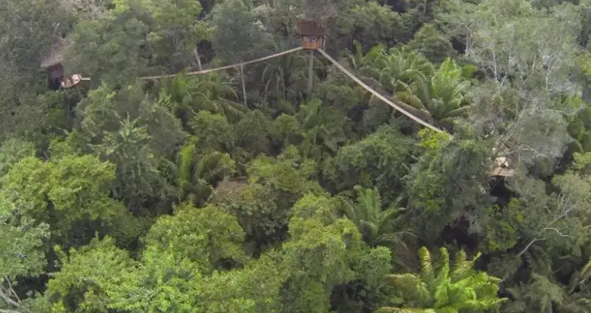 Treehouse Lodge Peru soledad room
