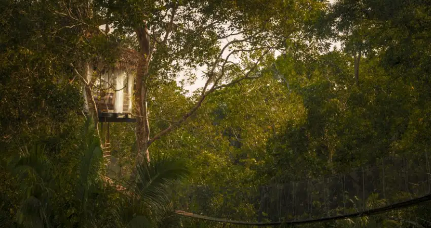 Treehouse Lodge Peru with high view