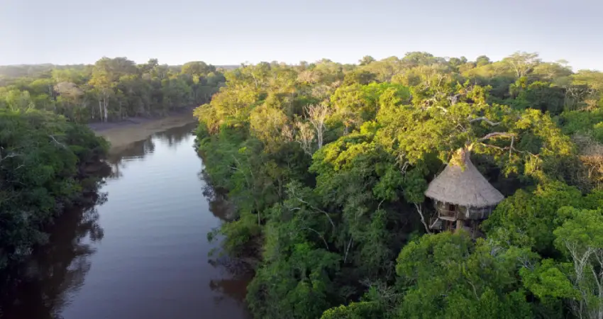 Treehouse Lodge Peru with river view