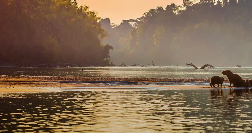best time to visit amazon in peru june