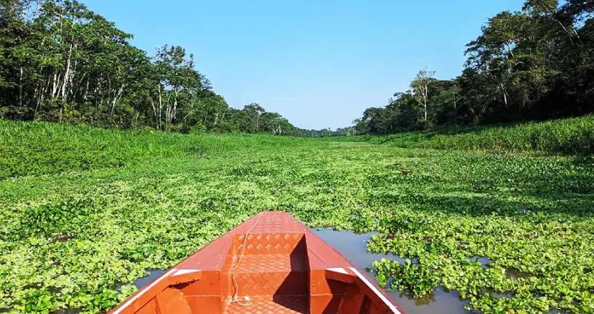 best time to visit amazon in peru march