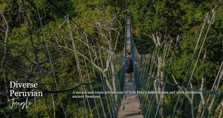 diverse peruvian jungle