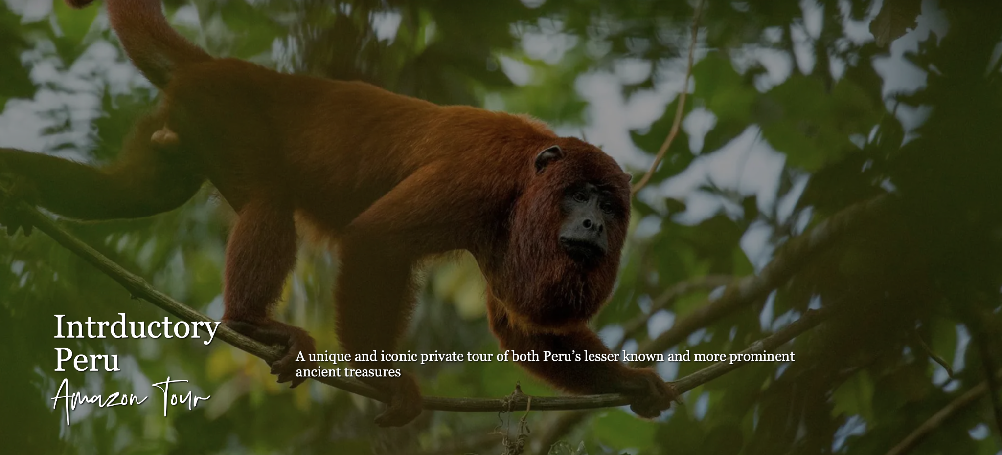 introductory peru