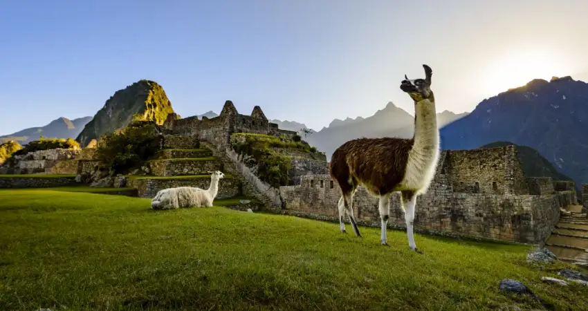 Peruvian Adventures FAQ