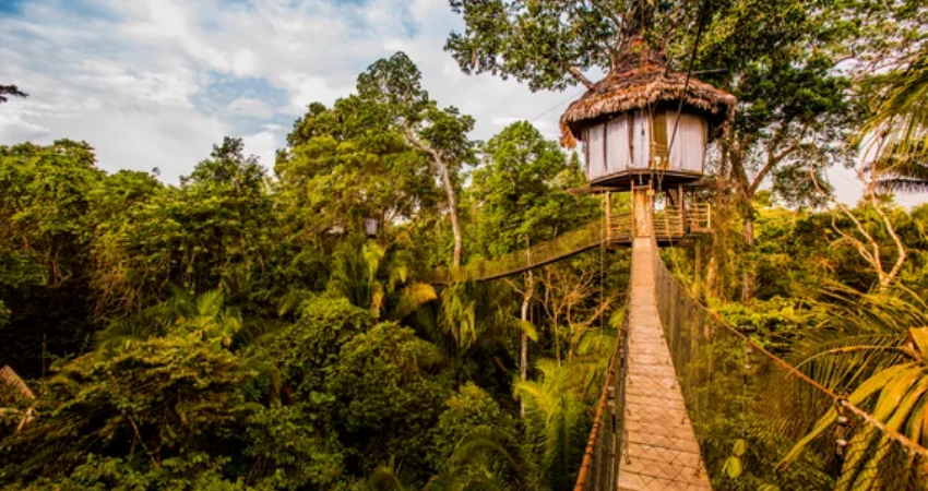 best lodges in iquitos treehouse lodge