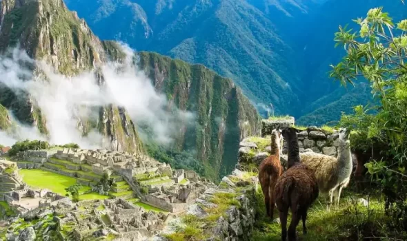 Best Luxury Tour Operator Peru: How To Choose The Right One For Your Dream Trip