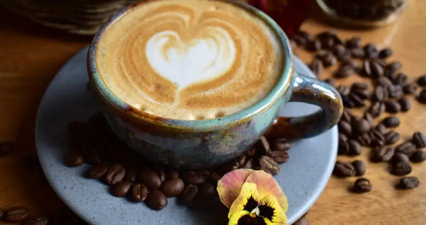 coffee shops in cusco organika
