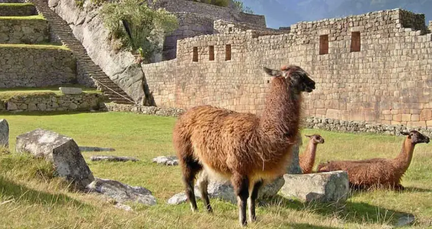 machu picchu photography FAQs