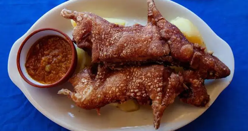 best guinea pig restaurant in cusco FAQs