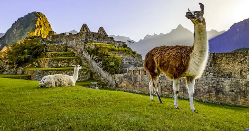 safety tips in machupicchu FAQs