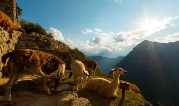 Safety Tips In Machu Picchu: The Complete Traveler’s Guide For A Safe And Stress-Free Visit