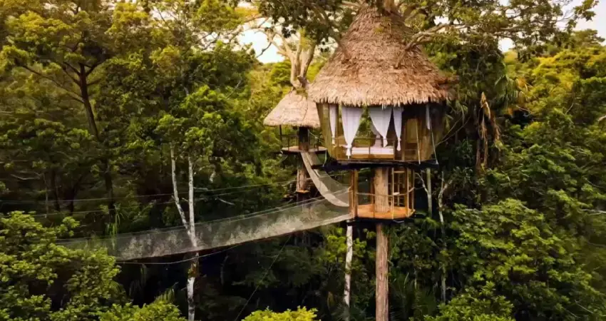 unique hotels in peru treehouse