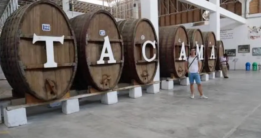 Tacama winery faq