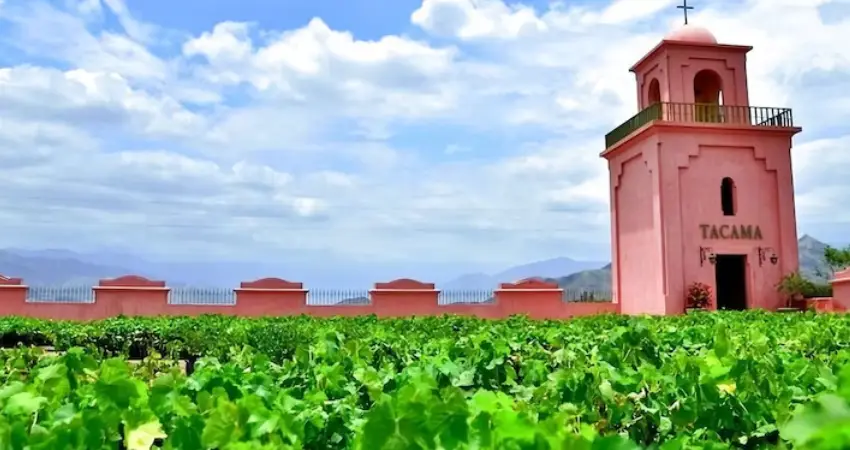 Tacama winery 