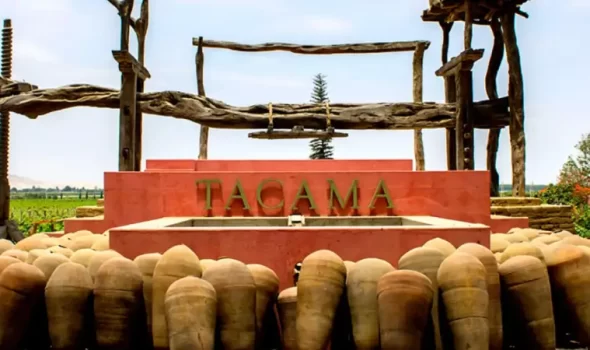 Tacama Winery: Peru’s Oldest Vineyard And A Hidden Gem Of The Ica Desert