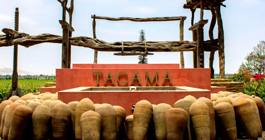 Tacama winery