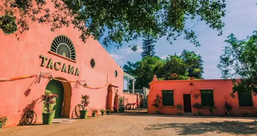 wine tasting peru tacama winery